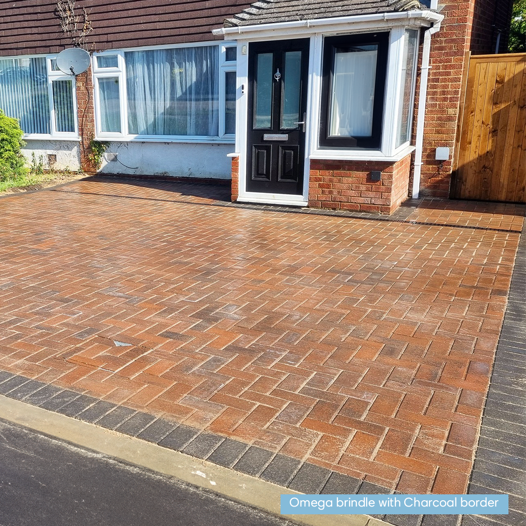 omega brindle; red paving; driveway paving; block paving for driveways; block paving drives; driveway block paving; drive block paving; driveway paving blocks; paving and driveways; drive paving; driveway pavement; block paving driveway; paving for driveways; omega block paving; red brick paving; cheap block paving; brett omega block paving; red block paving bricks; red brick driveway; brick red pavers; cheap block paving blocks; red brick for driveway; red brick pavement; red driveway bricks